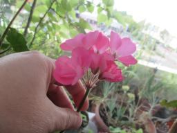 EIMG_8695