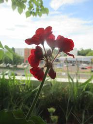 EIMG_8696