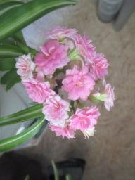 EIMG_8722