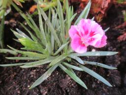 EIMG_8723