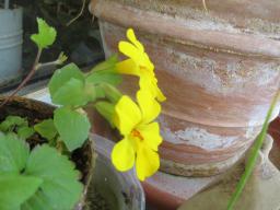 EIMG_8726