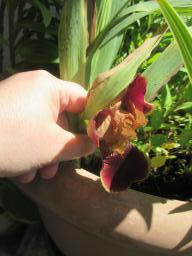 EIMG_8727