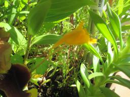 EIMG_8728