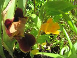 EIMG_8729