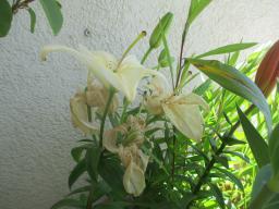 EIMG_8730