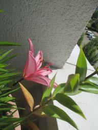 EIMG_8731