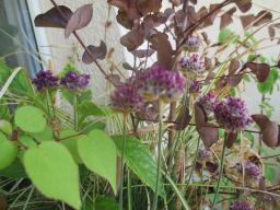 EIMG_8733