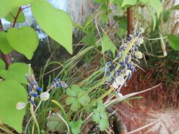 EIMG_8734