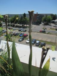 EIMG_8735