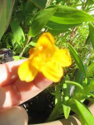 EIMG_8744