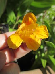 EIMG_8745