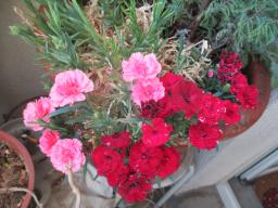 EIMG_8748