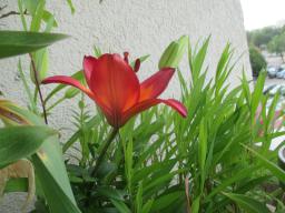 EIMG_8761