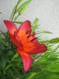 EIMG_8762