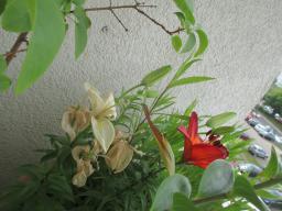 EIMG_8763