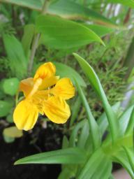 EIMG_8765