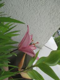 EIMG_8766