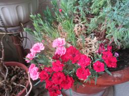 EIMG_8768
