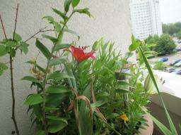 EIMG_8795
