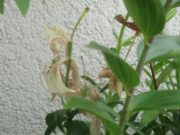 EIMG_8796