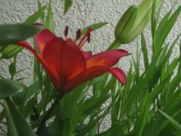 EIMG_8797