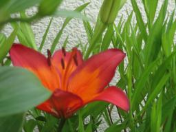 EIMG_8800