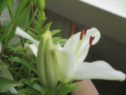 EIMG_8801