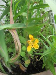 EIMG_8802