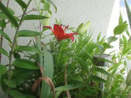 EIMG_8814