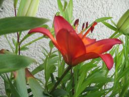 EIMG_8815