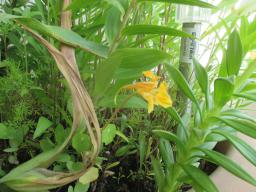 EIMG_8817