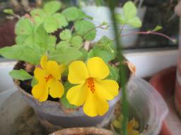 EIMG_8818