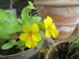 EIMG_8819