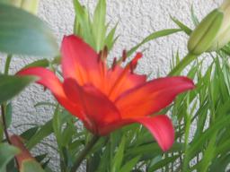 EIMG_8829