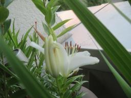 EIMG_8830
