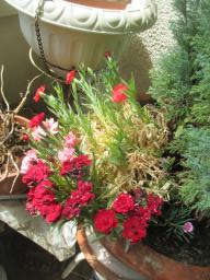 EIMG_8867