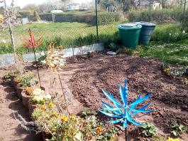 fruhling2025_Garten_IMG_20250416_152316