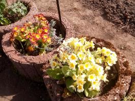 fruhling2025_Garten_IMG_20250416_152324