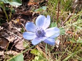 fruhling2025_Garten_IMG_20250416_152354
