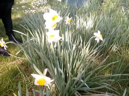 fruhling2025_Garten_IMG_20250416_152503