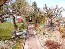 fruhling2025_Garten_IMG_20250416_152524