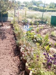fruhling2025_Garten_IMG_20250514_110323