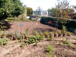 fruhling2025_Garten_IMG_20250514_110352