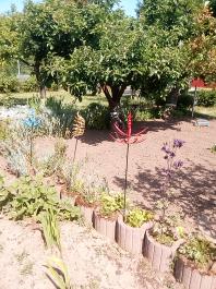 fruhling2025_Garten_IMG_20250514_110439