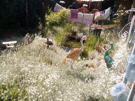 fruhling2025_Garten_IMG_20250514_110916
