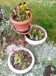 fruhling2025_Garten_IMG_20250516_121542