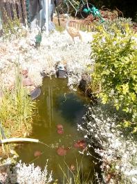 fruhling2025_Garten_IMG_20250517_120523