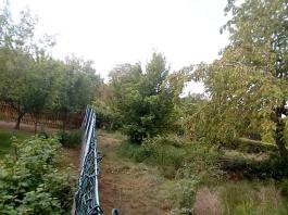 fruhling2025_Garten_IMG_20250518_113639