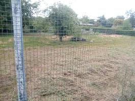 fruhling2025_Garten_IMG_20250518_113728