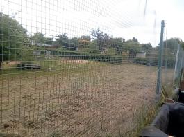 fruhling2025_Garten_IMG_20250518_113732